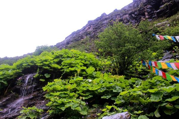川西行记 |天地有大美 而不言50