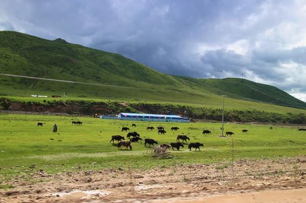 川西行记 |天地有大美 而不言11