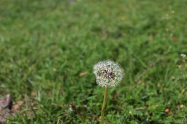 川西行记 |天地有大美 而不言5