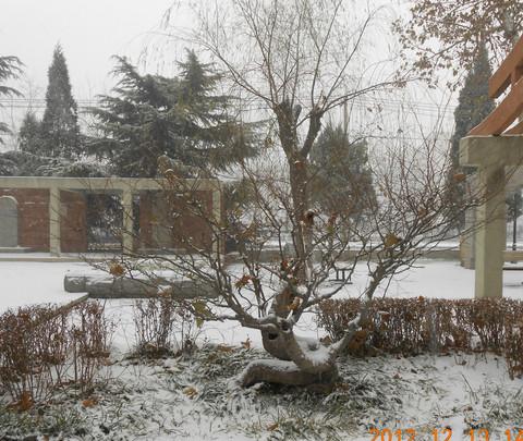 雪中石刻园20