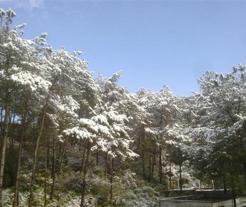 迟到了一年的游记26