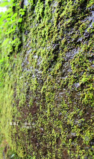 婺情源景——素素的我 素素的心30