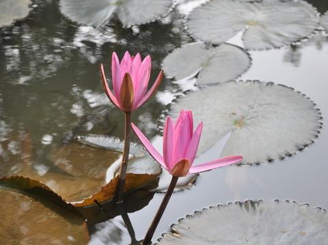这个周末,这个光棍节,一个人漫步走在南宁6