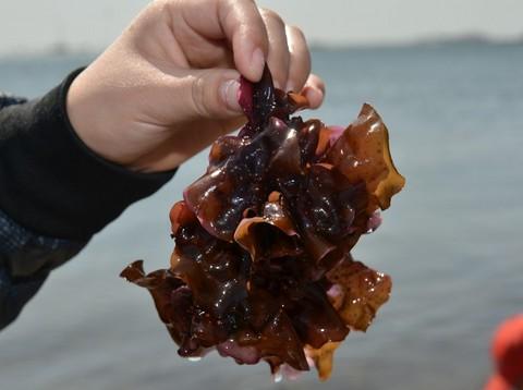 2012 四月大连美食行46