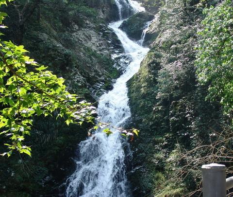 2008年10月井冈山游19