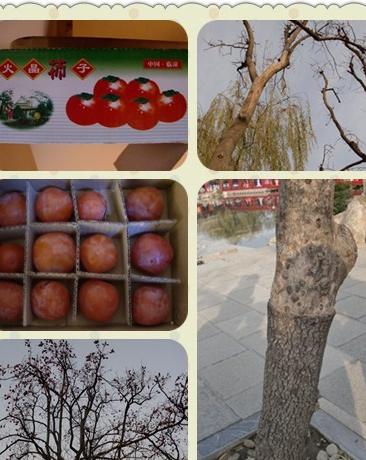 古城。印迹——我们的西安之旅6