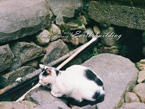 福建土楼旅行攻略（二）——永定土楼：自天而降的“飞碟”25