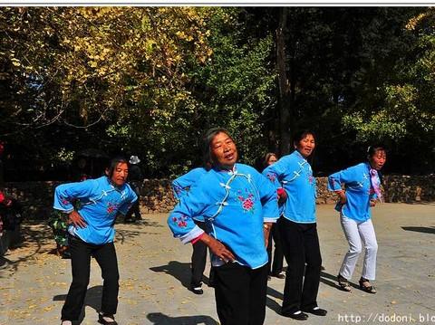 灿烂金秋--腾冲银杏村(1)65