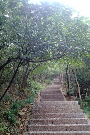 在南京所拍的几张照片8