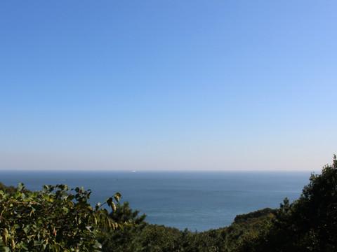 暴走大连19