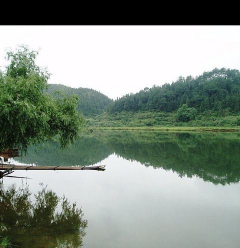 迟到七年的游记—烟雨婺源12