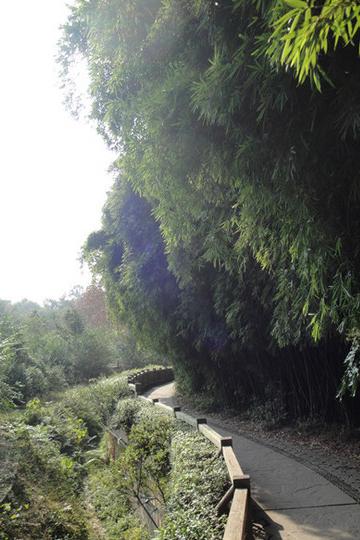 重庆.成都.六日自助游60