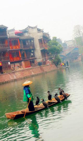 我们说好的，我却过了一个人的凤凰2