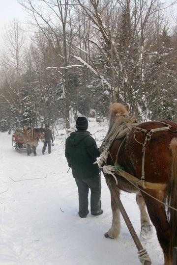 2011--2012东北跨年行【哈尔滨→东升→雪乡→雾凇岛】图片完毕，文字持续更新中…49