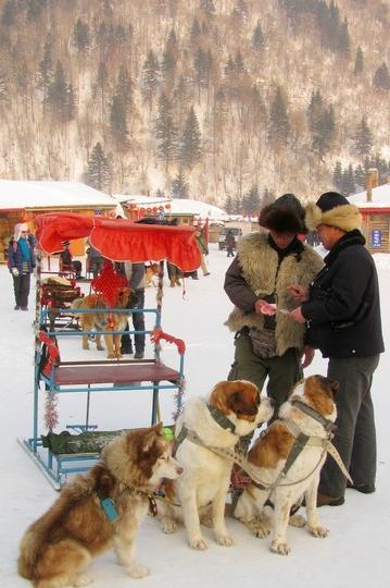 2011--2012东北跨年行【哈尔滨→东升→雪乡→雾凇岛】图片完毕，文字持续更新中…61