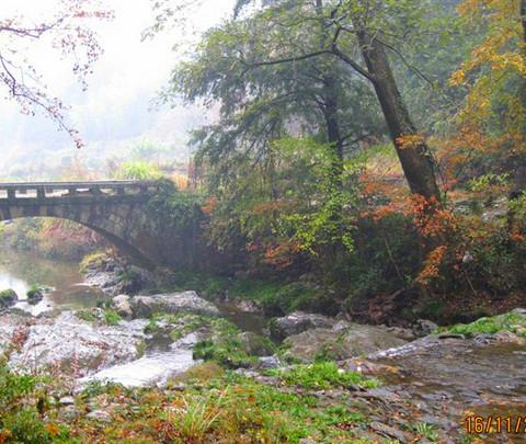 行走在婺源的秋天里11