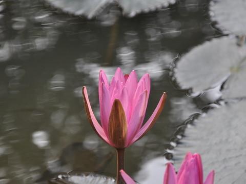 这个周末,这个光棍节,一个人漫步走在南宁7