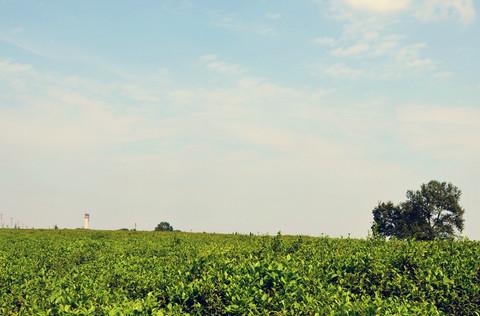 平山之旅。。。33