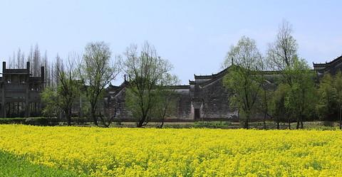 惊蛰了，去徽州看看吧13