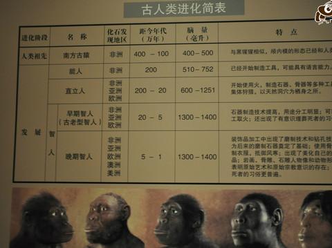 一路向西,给心灵放个假-D0D1D2D3西安、大唐西市、城墙、陕西博物馆、SUST---老婆篇30