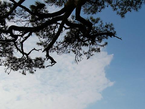 婺源秋忆，云雾三清，五天经济游55