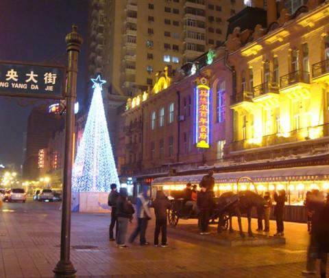 记忆哈尔滨。 冬天最美的城市 自由行（沈阳游不包括在内）28