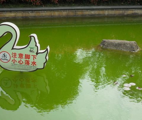 我的南京五日游9