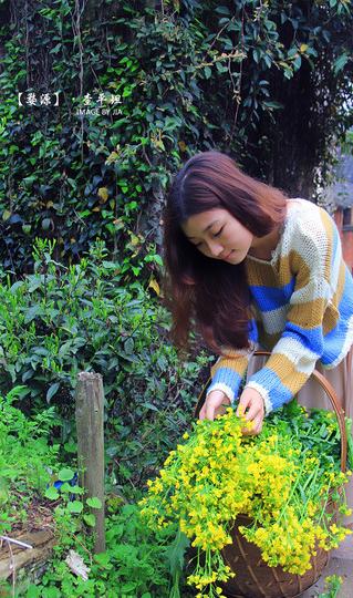 婺情源景——素素的我 素素的心25