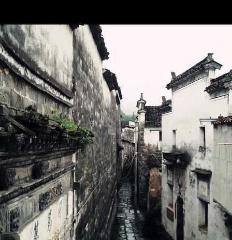 迟到七年的游记—烟雨婺源6