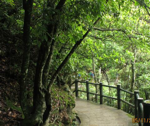 井冈山记忆3