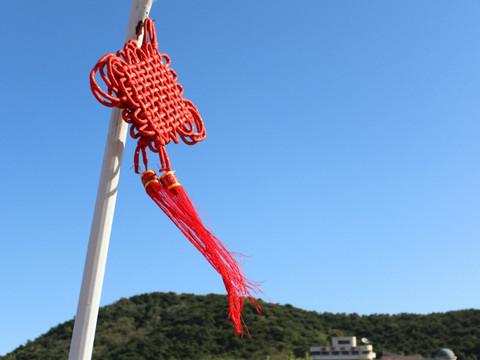 暴走大连4