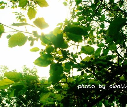 健步走在黄壁庄3