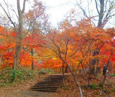 南京栖霞山一日游12