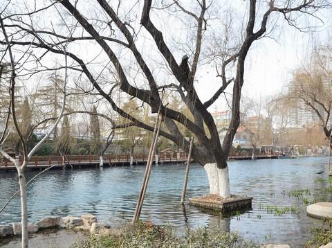 济南 泉水流到大明湖29