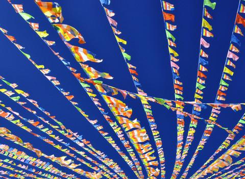 穿行滇川，寻回曾经的自我—香格里拉篇（含梅里雪山）13