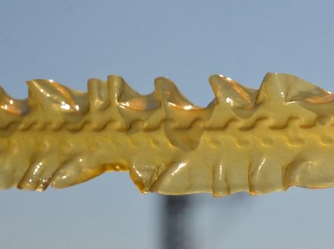 2012 四月大连美食行45