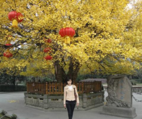 重庆.成都.六日自助游49