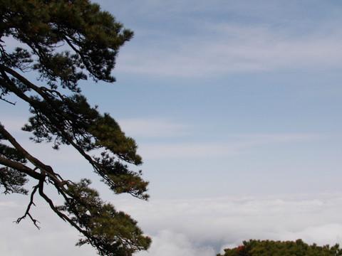 婺源秋忆，云雾三清，五天经济游48