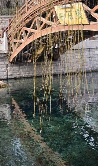 济南 泉水流到大明湖23