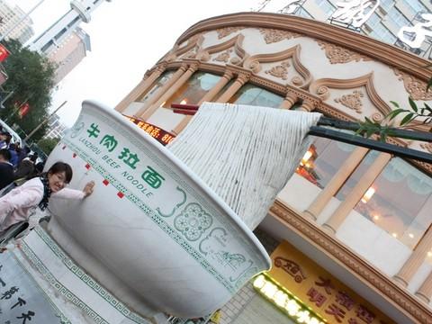 40天游走西部(二)-西安,兰州,西宁26