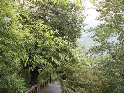 我的心迷失在彩云之南 2 （2010-JUN 腾冲 和顺) 持续更新中。。。45