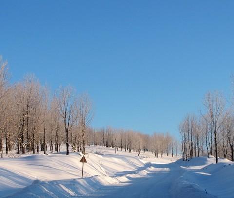 2011--2012东北跨年行【哈尔滨→东升→雪乡→雾凇岛】图片完毕，文字持续更新中…82