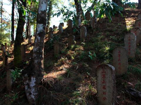 腾冲，腾冲，迟来的救一把！104