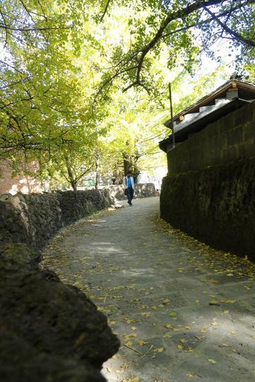 方舟某林三日两夜腾冲独行慢走之旅——和顺古镇、江东古银杏村57