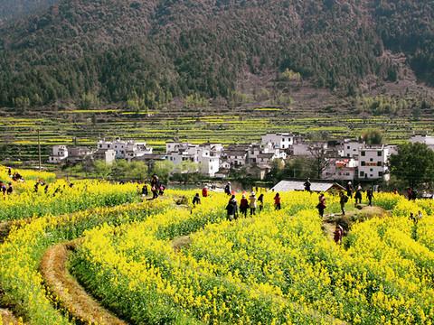 且行且珍惜_@江西婺源 晓起 美如其名的村落27