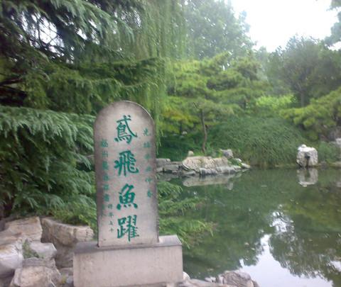 偶得济南半日休闲游（趵突泉公园，大明湖畔）5