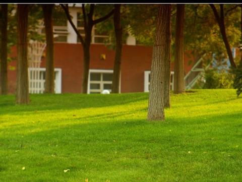 秋之色---世纪公园一游3