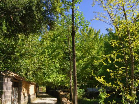 穿行滇川，寻回曾经的自我—腾冲篇36