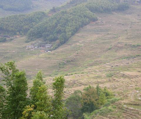 让人心醉的晚秋 (11。11福州舵活动)44