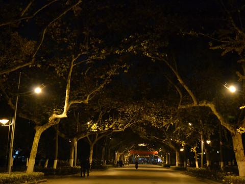 烟雨朦胧，冬下南京12